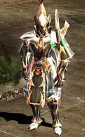 Mahes Black Dragon set