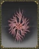 Elven Shield